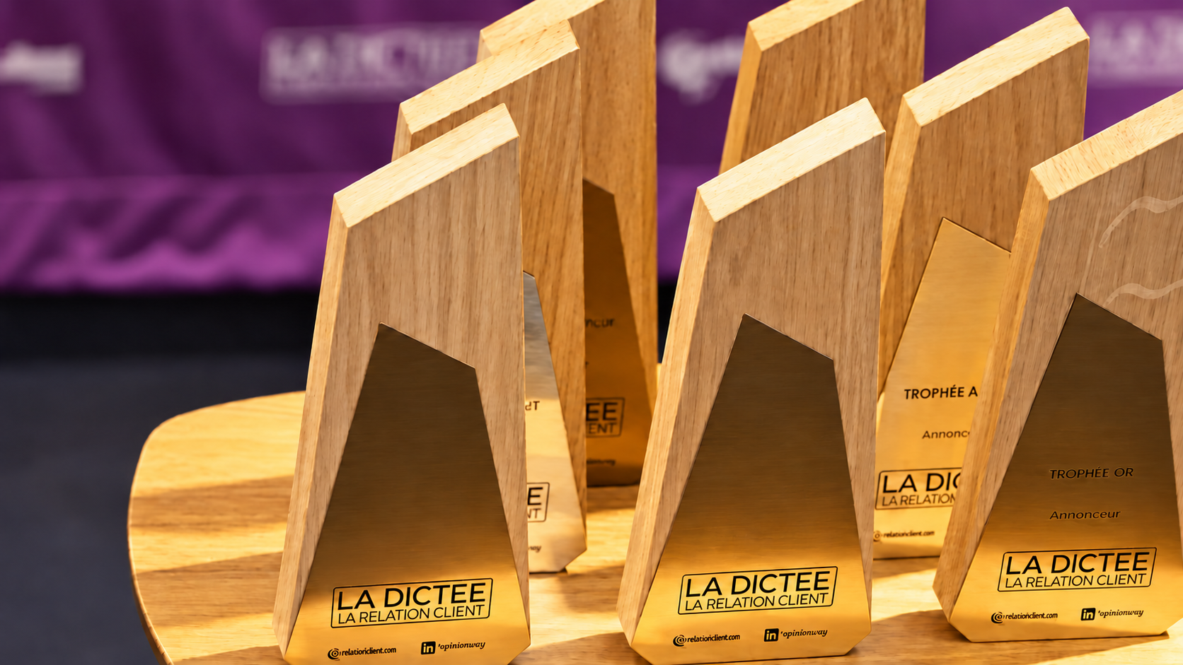 BlueLink retrouve l’or à la Dictée de la Relation Client 2026
